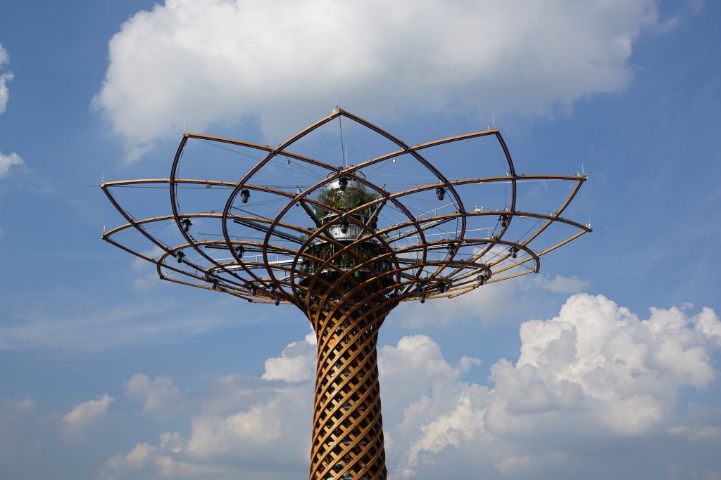 DM_il dentista moderno_salute orale_expo_albero della vita