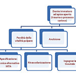 4. Rivascolarizzazione pulpare come trattamento alternativo per elementi dentali immaturi necrotici