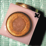 I pretrattamenti di superficie del biossido di zirconio nella cementazione adesiva: studio in vitro