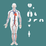 Differenza tra urgenze ed emergenze in odontoiatria DM_il dentista moderno_emergenze in odontoiatria farmaci e dispositivi_profilassi