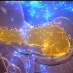 Odontoiatria e malattie del pancreas DM_il dentista moderno_pancreas_insulina_salute orale