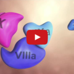 Anticoagulanti orali e complicanze in odontoiatria: cosa dice la letteratura DM_il dentista moderno_ Anticoagulanti orali e complicanze in odontoiatria