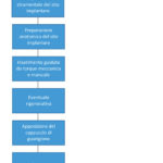 La gestione del rischio odontoiatrico, una risorsa per la crescita