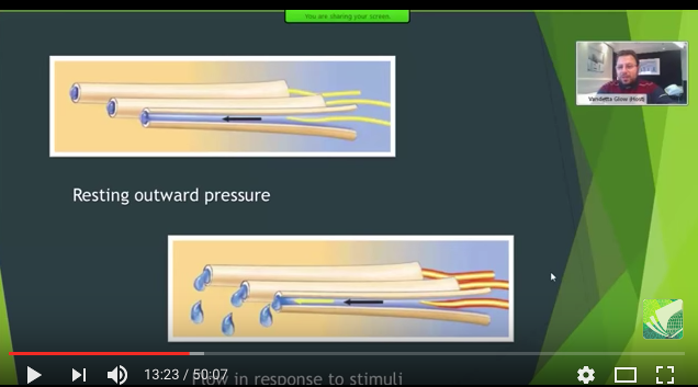 dm_il-dentista-moderno_ipersensibilita-dentinale-meccanismi-teorie