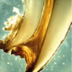 Strumento semplificato per il management del paziente con usura dentale