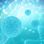 Vecchi e nuovi materiali nel mantenimento della vitalità pulpare Ipossia, angiogenesi e vitalità pulpare