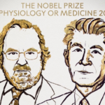 Nobel per la Medicina 2018 a due immunologi: hanno scoperto come attivare il sistema immunitario contro il cancro DM_il dentista moderno_premio nobel_immunologia