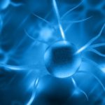 Lesione del nervo alveolare inferiore durante trattamento endodontico: come procedere?