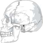 Espansione mandibolare: stato delle evidenze e indicazioni cliniche