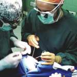 Patologie congenite cranio-maxillo facciali e labiopalatoschisi: strategie di cura in Paesi a basse risorse