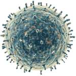 Aids e odontoiatria: dalla prevenzione primaria allo screening attraverso gli adeguamenti terapeutici