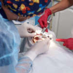 Verifica sperimentale delle indicazioni nell’approccio al paziente chirurgico in TAO DM_il dentista moderno_Verifica sperimentale delle indicazioni nell'approccio al paziente chirurgico in TAO .jpg