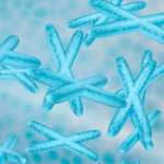 La fragilità richiede tempo