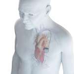 Pacemaker e defibrillatori: valutazione delle potenziali interferenze con i dental devices elettrici