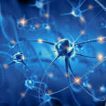 Danno del nervo alveolare inferiore iatrogeno DM_ il dentista moderno_Loop anteriore del nervo mentale studio anatomico di prevalenza e considerazioni chirurgiche