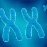 Medicina di genere in odontoiatria