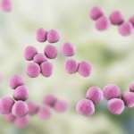 Microbioma orale ed effetti della disbiosi