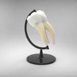 AIO e Caritas Roma insieme per curare i rifugiati ucraini