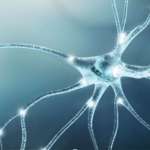 PTTN e trattamento endodontico, come vincere la sfida diagnostica