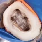 Ipoclorito di sodio, come evitare gli incidenti durante l’irrigazione