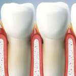 Rigenerazione ossea, allo studio un nuovo farmaco