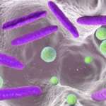 Parodontite, allo studio un nuovo cerotto gengivale antibatterico