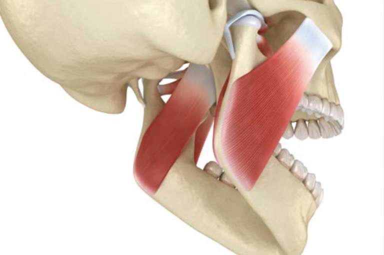 Occlusione: gestione, restauro,  trattamento, terapia?  Letteratura scientifica e linee guida  ministeriali a confronto