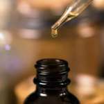 Propoli: uno studio sulla potenziale azione terapeutica in odontoiatria