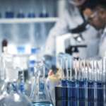 Cellule staminali: alla vigilia di una nuova rivoluzione cellule staminali denti