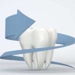 Usura dello smalto, uno studio analizza diversi materiali ceramici smalto usura