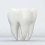 La stabilità parodontale dopo l’allungamento della corona clinica stabilità parodontale