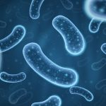 Probiotici: gli effetti positivi sul parodonto di pazienti anoressici Probiotici parodonto