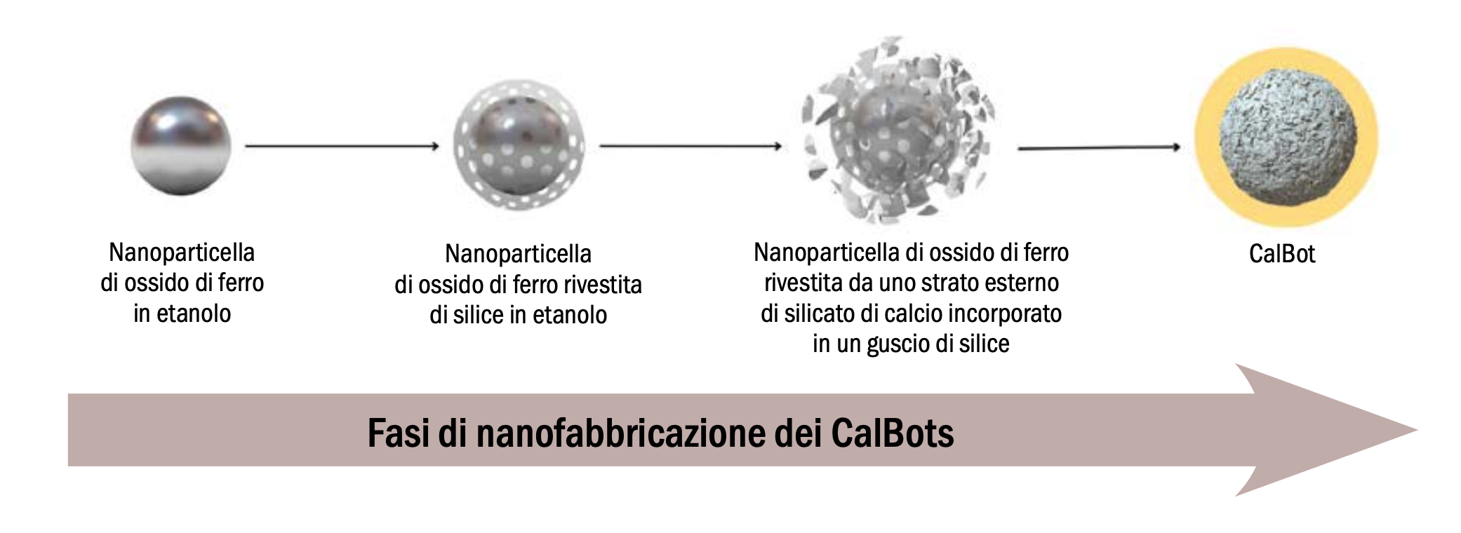 CalBots ipersensibilità dentale