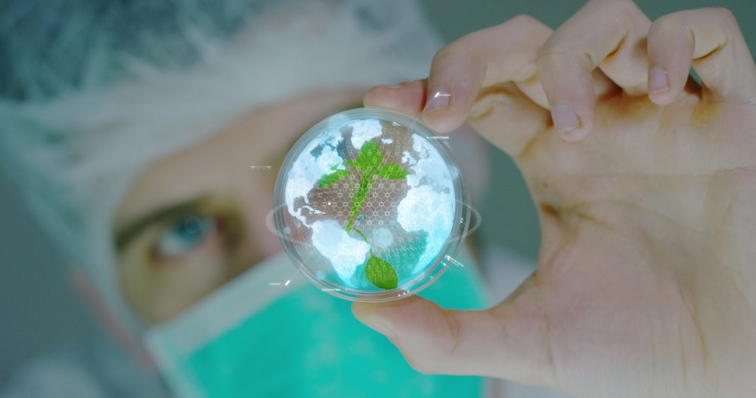 A,Scientist,In,A,Laboratory,,Analyzing,The,Plants,And,Earth allineatori eco-friendly