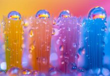 Spazzolino da denti e batteri patogeni: informare i pazienti Spazzolino da denti e batteri