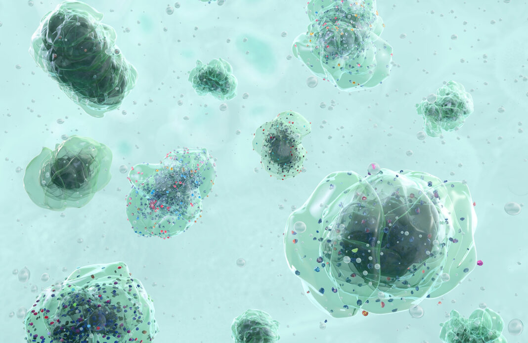 Microplastic,Particles,And,Synthetic,Polymer,Fragments,Floating,In,A,Contaminated Microplastiche