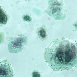 Microplastiche, un problema anche per lo studio odontoiatrico Microplastiche