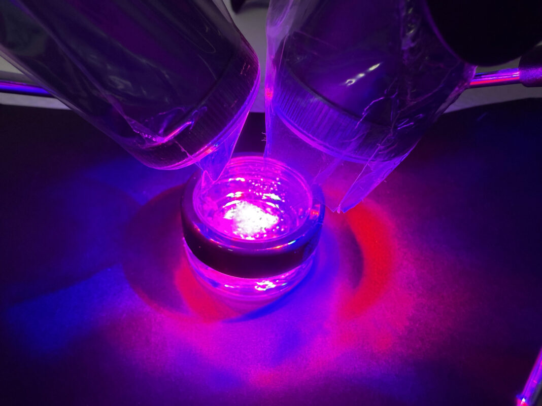 23_Patarino Autotrapianto dentale