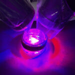 Autotrapianto dentale di canino superiore incluso e successiva riabilitazione implanto-protesica a 7 anni Autotrapianto dentale