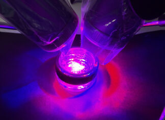 Autotrapianto dentale di canino superiore incluso e successiva riabilitazione implanto-protesica a 7 anni Autotrapianto dentale