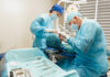 Studio retrospettivo sul fallimento implantare precoce Fallimento implantare