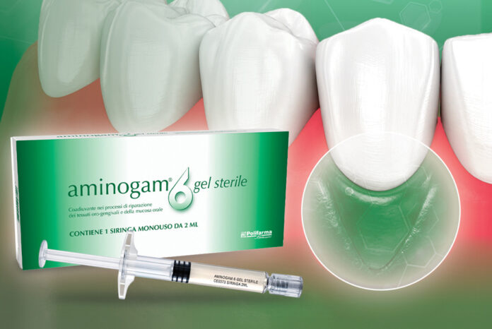 aminogam-6