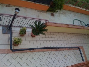 Il “pitone” sul terrazzo…