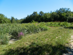 LAVORI CONCLUSI. Ecco come si presentava il secondo stadio del trattamento secondario: i reflui vengono riversati sulla superficie mediante tubazioni situate nella parte superiore del letto di filtrazione.