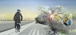 INFRASTRUTTURA CICLOPEDONALE. Attraversare in bicicletta un canale utilizzando un ponte che depura l'acqua e crea un ambiente accogliente per le specie aviarie: il progetto di Margot Krasojevic trae ispirazione dalla profonda vicinanza fra uomo e natura tipica delle culture nord-europee. (foto Margot Krasojevic)