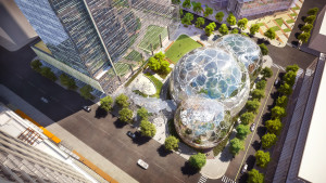 ARCHITETTURA E NATURA. Le tre biosfere sorgeranno al centro del complesso direzionale di Amazon.com, Inc., progettato dallo studio di architettura NBBJ e in corso di costruzione nel distretto amministrativo di Seattle: al loro interno sarà ospitato un articolato bioma locale. (Foto NBBJ)