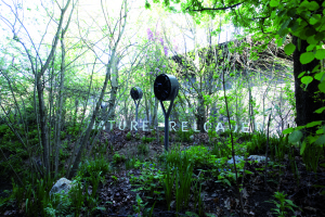 IL SUOLO E LA VEGETAZIONE garantiscono una corretta umidità e un piacevole profumo di bosco: al pari del comfort termico, l'esperienza sensoriale è parte integrante della visita al padiglione austriaco.