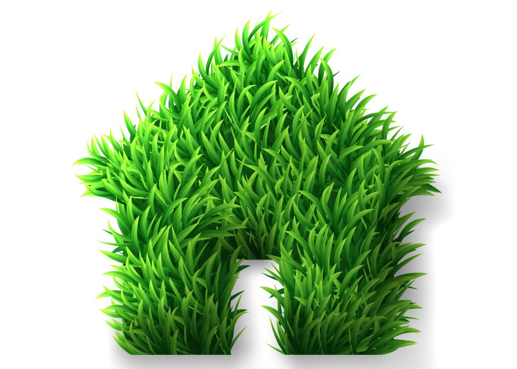 Green grass house icon