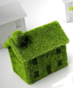 shutterstock_75146896