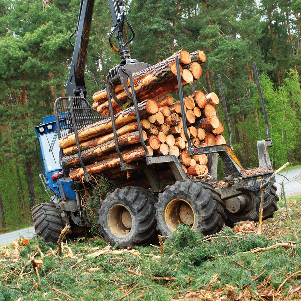 legno energia